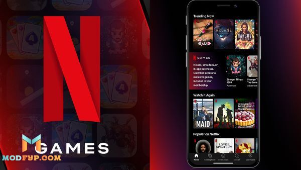 Netflix Mod Apk 8.80.0 Premium for android
