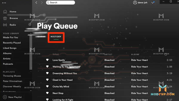 Spotify Listening History desktop