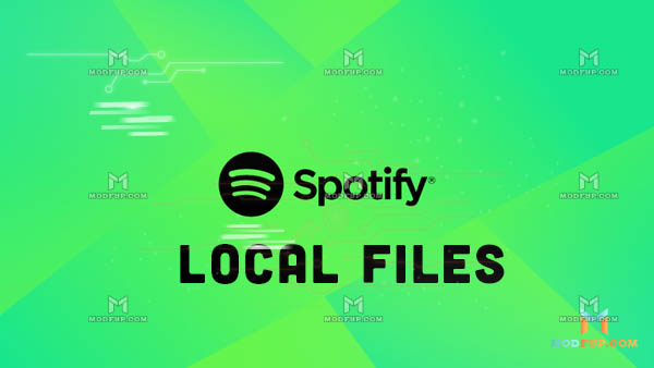 Introducción a los archivos locales de Spotify