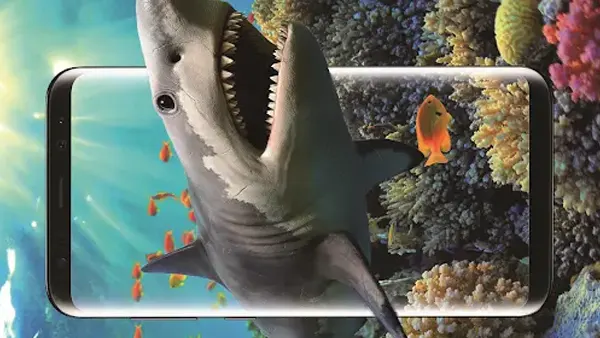 Shark Chan APK Screenshot