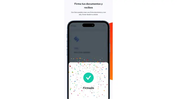 Sora APK Screenshot