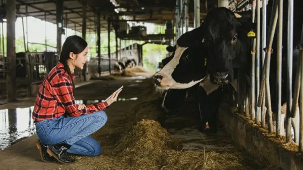 Dairy Insight APK Screenshot
