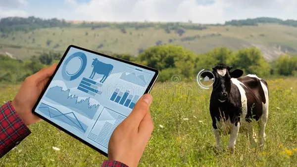 Dairy Insight APK Screenshot