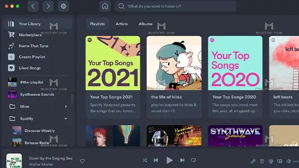 Spicetify APK (Premium) Screenshot