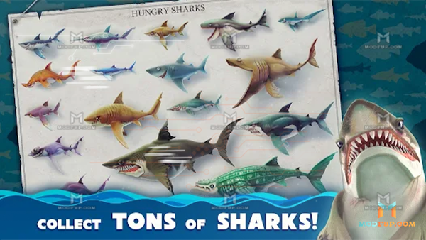 Hungry Shark World Mod APK (Unlimited money/Gold) Screenshot