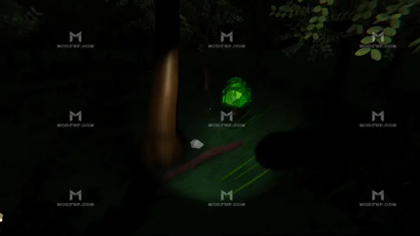 Lost In The Woods APK Screenshot