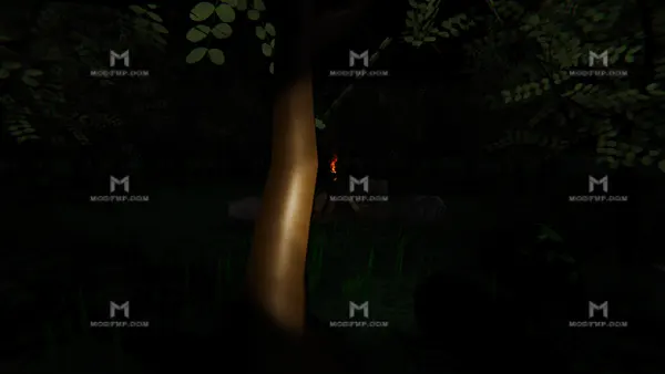 Lost In The Woods APK Screenshot