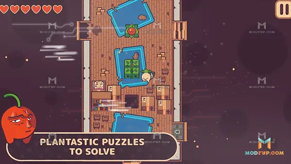 Mami188 APK Screenshot