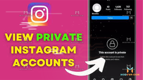 See Private APK Screenshot