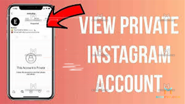 See Private APK Screenshot