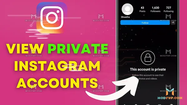 Private Account Stalk APK (Instagram) Screenshot