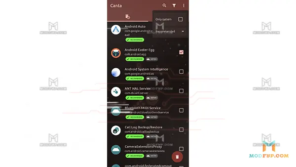 Canta APK Screenshot