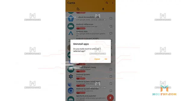 Canta APK Screenshot