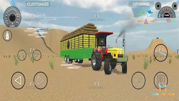 Indian Desi Simulator 3D APK Screenshot