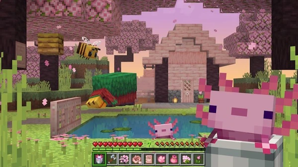 Actions and Stuff APK Screenshot