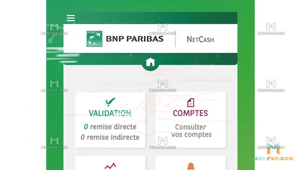 Net Cash APK Screenshot
