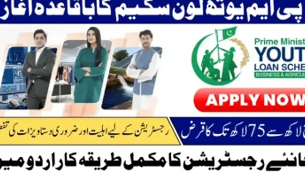 Allpkjob APK Screenshot