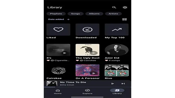 Metrolist APK (MOD, Unlocked) Screenshot