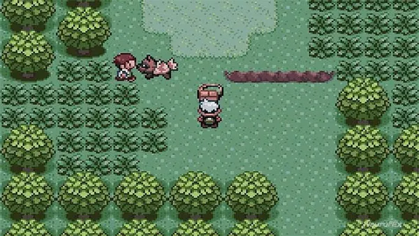 Pokemon Emerald APK Screenshot
