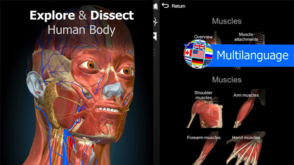 Anatomy Learning APK Screenshot