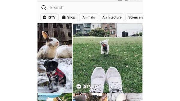 Insta Pro 2 APK APK Screenshot