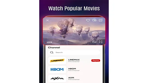 Live TV APK Screenshot