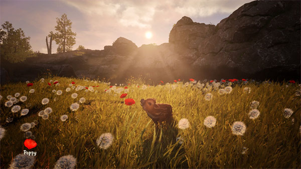 Adorable Adventures APK Screenshot