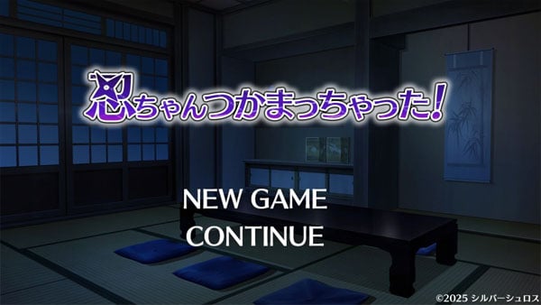 Secret Mission With Ninja Girl APK Screenshot